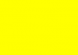 yellow 260x185 OSCAR
