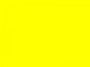 yellow 300x225 yellow