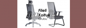 fil 300x99 fil