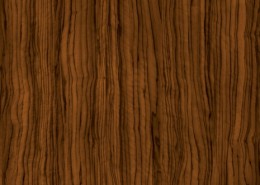 1355490405 1 260x185 SAFARI