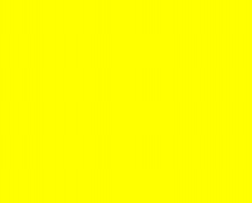 yellow 495x400 ERBA